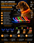 NightGlow – Collar LED Recargable para Perros | Seguridad y Visibilidad Nocturna